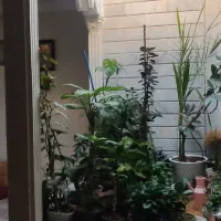 فروش خونه ۲۱۰متری محله الزهرا