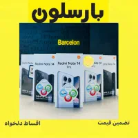 شیومی اقتصادی