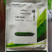 بذر فلفل گوجه خیار سمینیس فلات|خدمات باغبانی و درختکاری|شیراز, آزادگان|دیوار