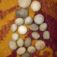 الماس آسیاب|جواهرات|همدان, |دیوار