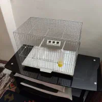 قفس بزرگ قناری