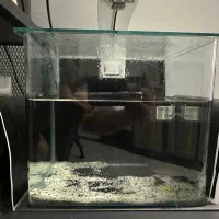 آکواریوم سایز ۱۸*۲۲ و درب