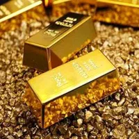 یک قطعه طلا پیدا شده