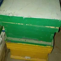 کندو نو رنگ شده