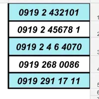 0919.4841404