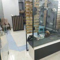 واگذاری مغازه