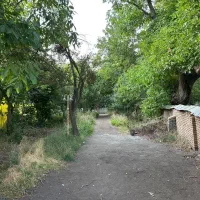 920-متر-باغ-ویلای-قدیمی-در-کولج