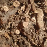خریدار چوب تک انگور خشک برش خورده