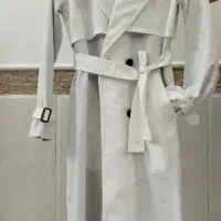 بارونی جذاب