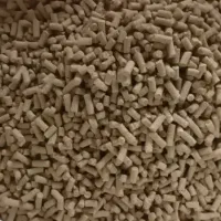 پلت مرغ بومی|حیوانات مزرعه|آمل, |دیوار