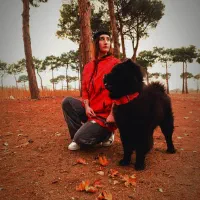 آموزش و اصلاح رفتار سگ ها