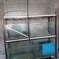 اکواریوم سالنی|ماهی|برخوار, |دیوار