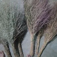 فروش جارودستی صدرصد یکجا