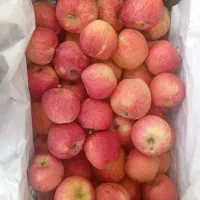 سیب سایز متوسط مزه عالی و متفاوت