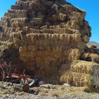 علوفه|لوازم جانبی حیوانات|نیر (اردبیل), |دیوار