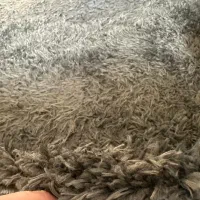 موکت پرز بلند پالاز طوسی ۹.۶۰ متری در حد نو|موکت|تهران, قلهک|دیوار