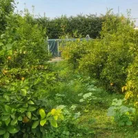 فروش-دو-خواب-در-باغ-معین