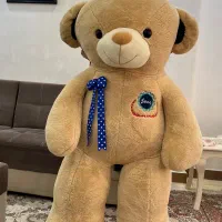 خرس شاسخین بزرگ