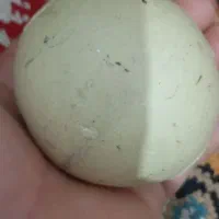 سنگ قیمتی