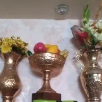 کاپ قهرمانی برنج