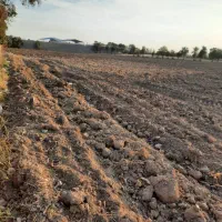 زمین کشاورزی|فروش دفتر صنعتی، کشاورزی، تجاری|ری, شهرک نظامی|دیوار