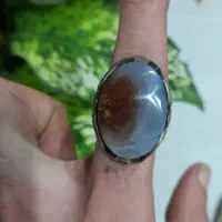 انگشتر شجر زیبای گل اناری|کلکسیون اشیاء عتیقه|رشت, عینک|دیوار