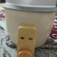پلوپزوبخار پز