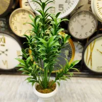 درختچه کد 549|گل مصنوعی|فردیس, فردیس|دیوار