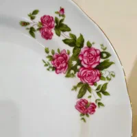 میوه و بشقاب گود اکبند گلسرخ