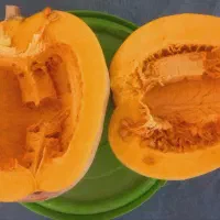 کدو حلوایی ،کدو تنبل