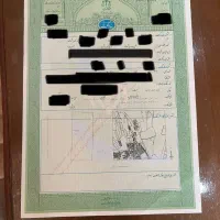 زمین-160-دو-کله