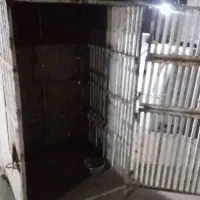 گنجه. کبوتر و حیوانات|لوازم جانبی حیوانات|مرودشت, رامجرد یک|دیوار