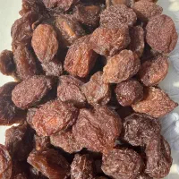 الو برغانی ارگانیک تازه