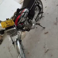 هندا سالم مرتب