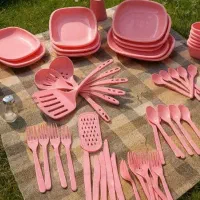 پک مسافرتی فقط ۶۰۰