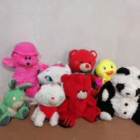 خرس گربه و خرگوش و اردک بعلت جابه جایی میفروشم