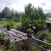 ویلای دو واحدی ۷۳۰ متر ۲۰۵ متر بنا|فروش خانه و ویلا|واجارگاه, |دیوار