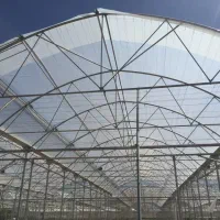 گلخانه ۸۰۰۰|عمده‌فروشی|ورامین, ورامین|دیوار