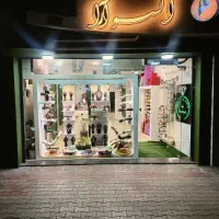 نیاز به همکار خانم جهت کار در گالری