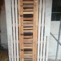 جفتگاه کفتر