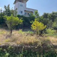 فروش زمین۲۳۳ متری با کاربری مسکونی در روستای واسکس|فروش زمین و ملک کلنگی|قائم‌شهر, |دیوار