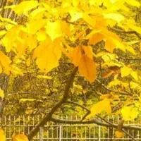 اجاره روزانه سوییت برای خانواده.کپشن مطالعه شود|اجارهٔ کوتاه‌مدت آپارتمان و سوئیت|خوانسار, |دیوار