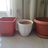 گلدان پلاستیکی وسرامیکی|گل و گیاه طبیعی|شیروان (خراسان), |دیوار