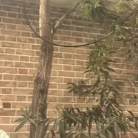 دعوت ازپزشکان عمومی و پرستاران داری صلاحیت حرفه‌ای