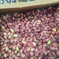 کارگر میوه فروشی