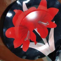 سرویس|ظروف سرو و پذیرایی|اشتهارد, |دیوار