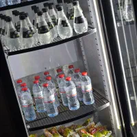 باشگاه بدنسازی مختص بانوان|خدمات آموزشی|کرمان, |دیوار