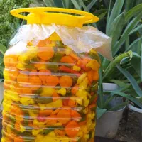 ترشی خانگی خوشمزه