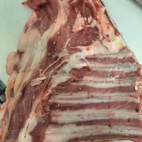 قلوه گاه بره نر