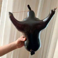 هیزه یک منی گوسفندی